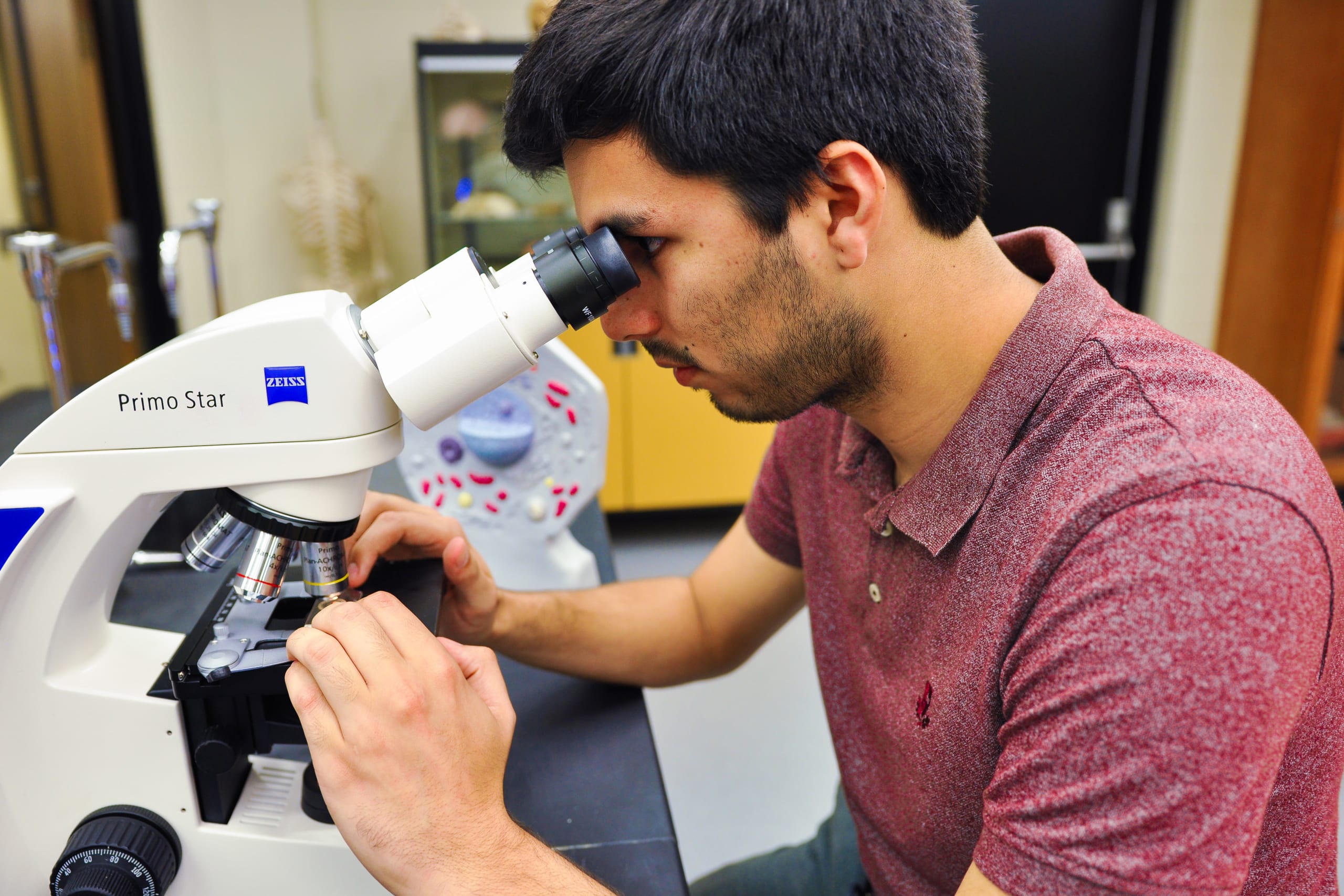 Milligan biology student using Zeiss microscope.